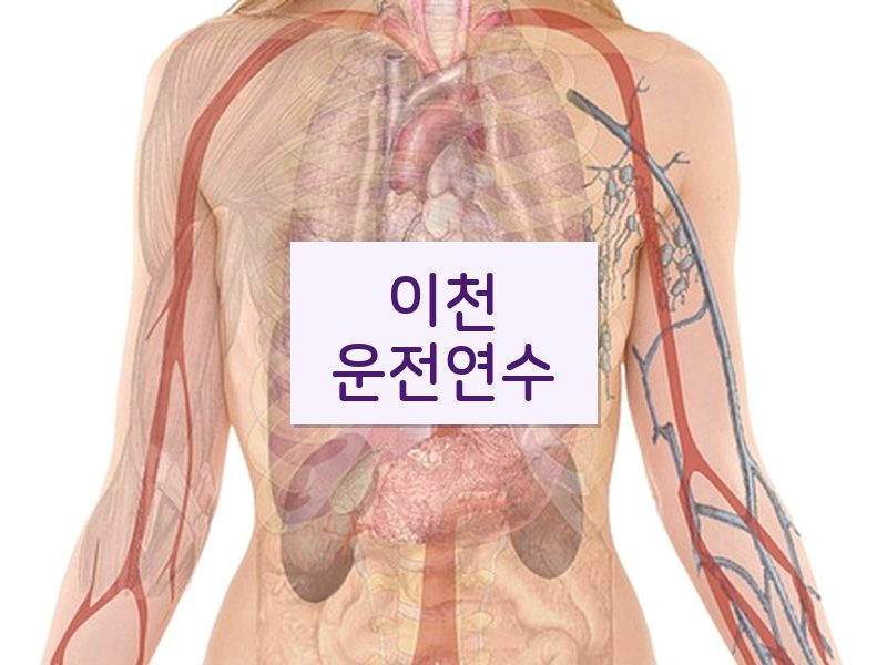 이천운전연수 후기