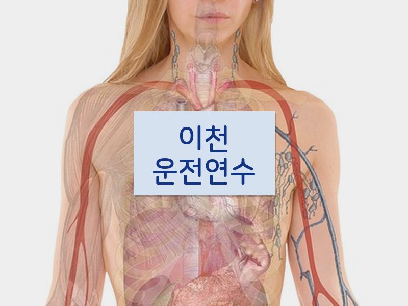 이천운전연수 후기