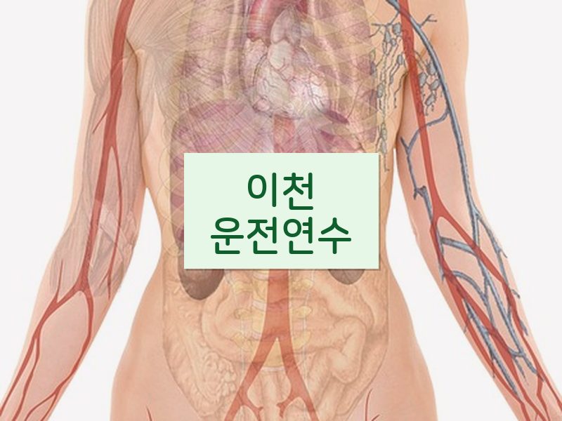 이천운전연수 후기