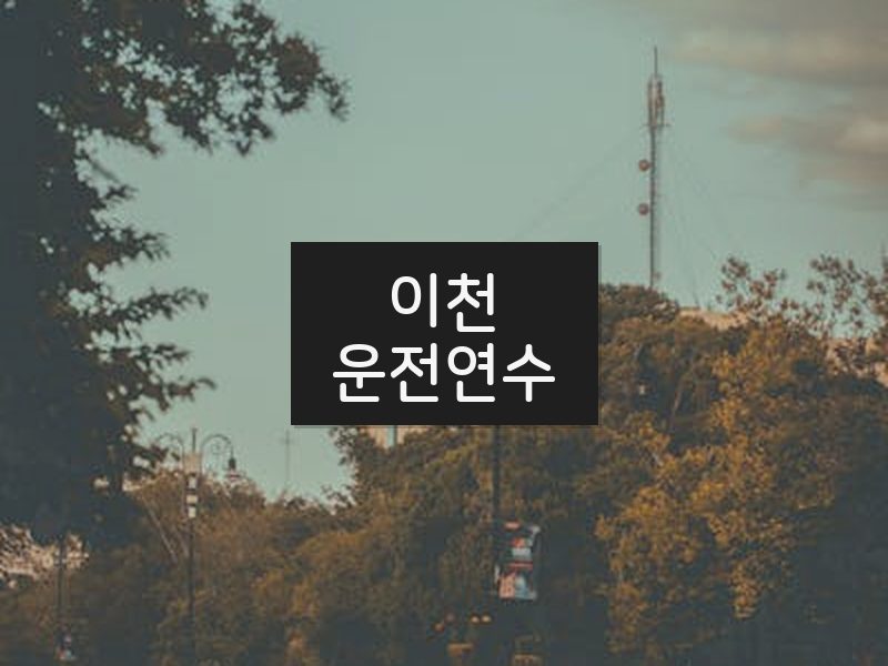 이천운전연수 후기