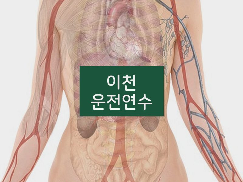이천운전연수 후기