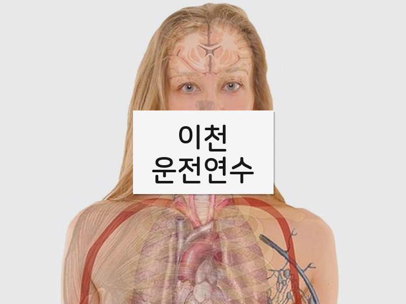 이천운전연수 후기