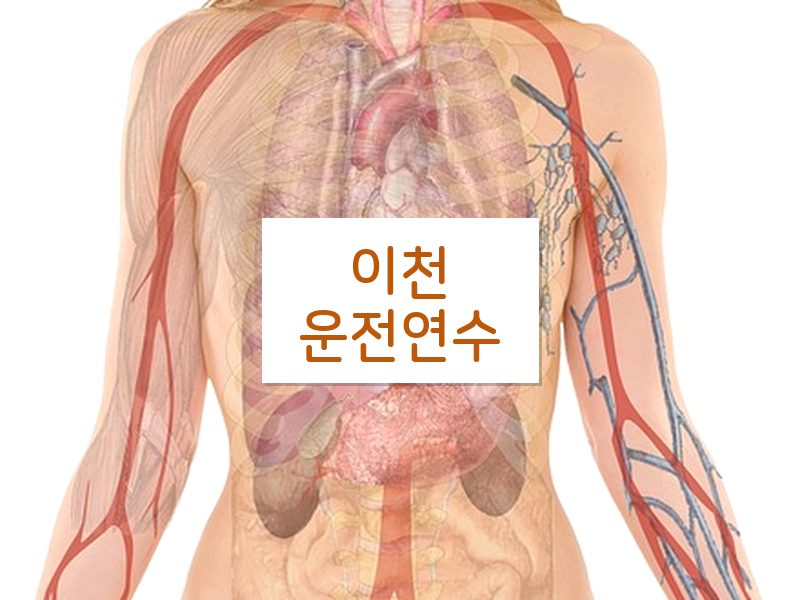 이천운전연수 후기