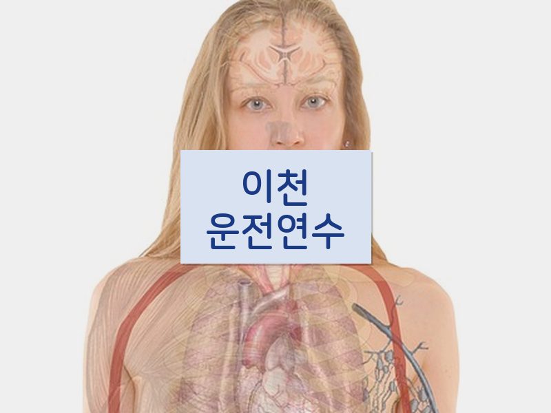 이천운전연수 후기