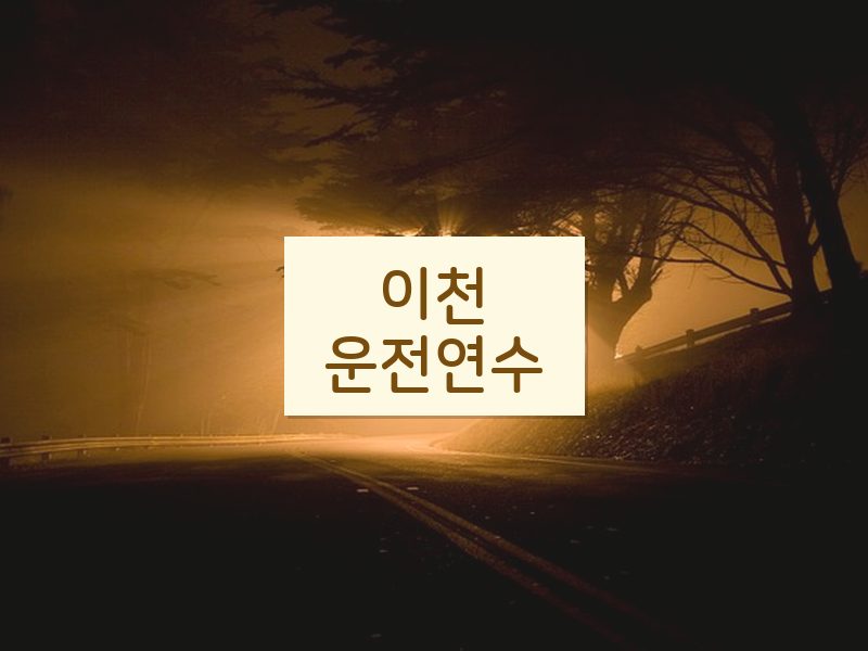 이천운전연수 후기