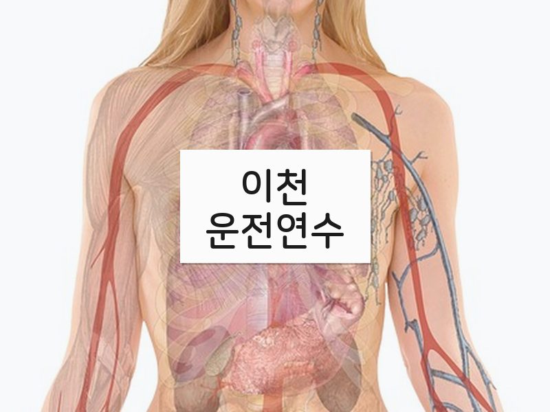 이천운전연수 후기