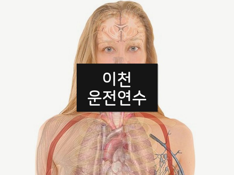 이천운전연수 후기