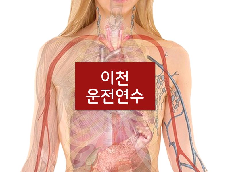 이천운전연수 후기