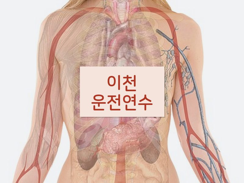 이천운전연수 후기