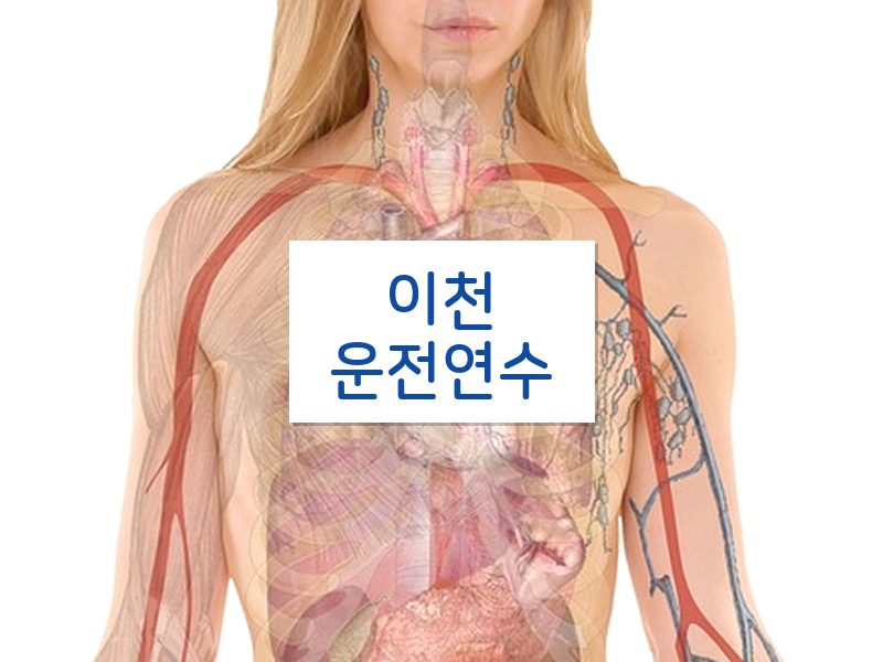 이천운전연수 후기