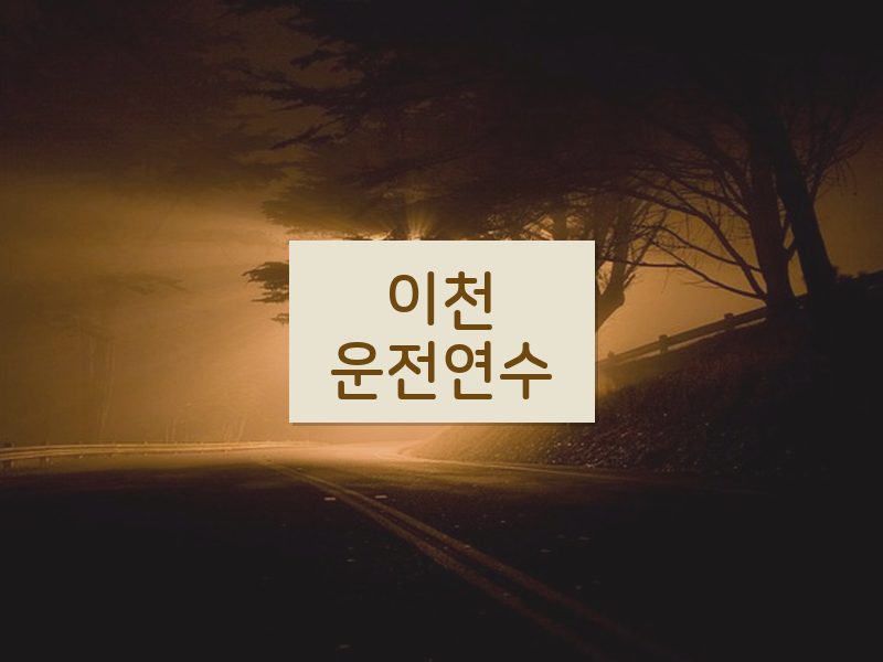 이천운전연수 후기