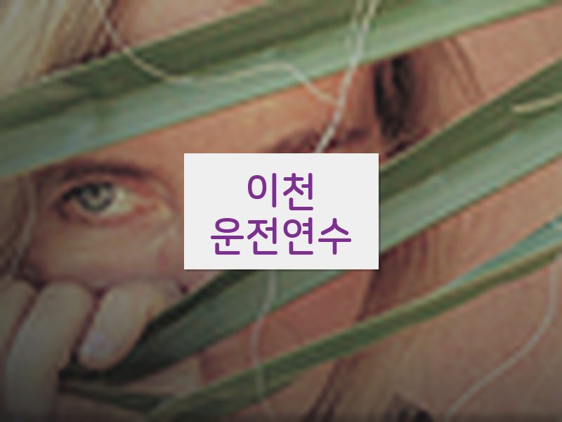 이천운전연수 후기