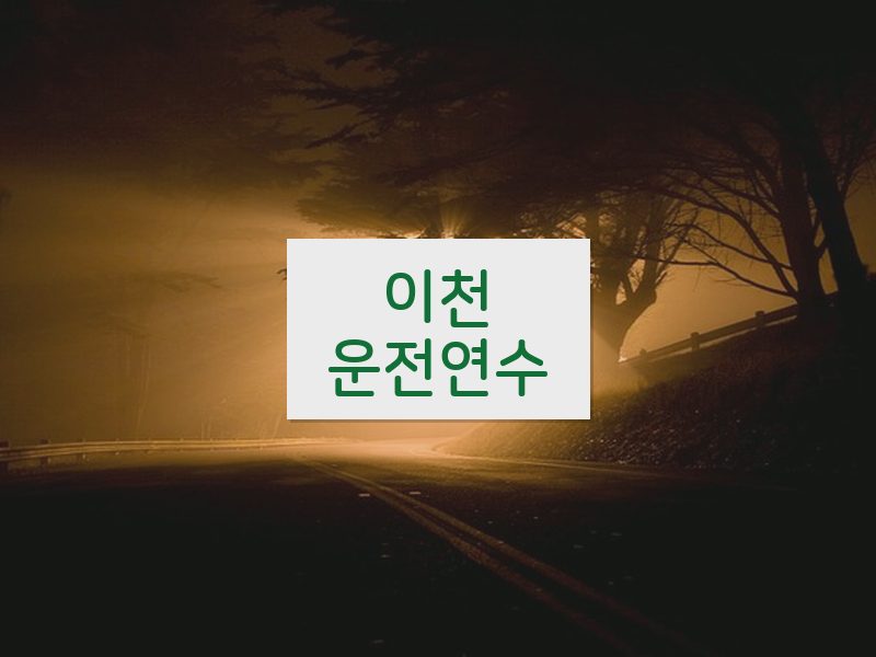 이천운전연수 후기