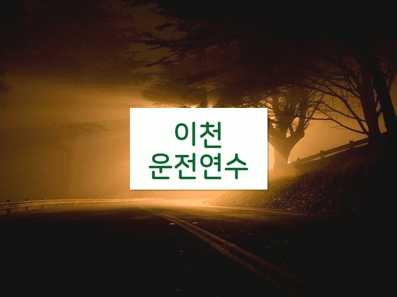 이천운전연수 후기