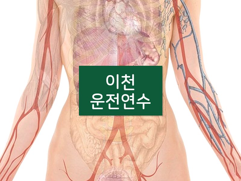 이천운전연수 후기