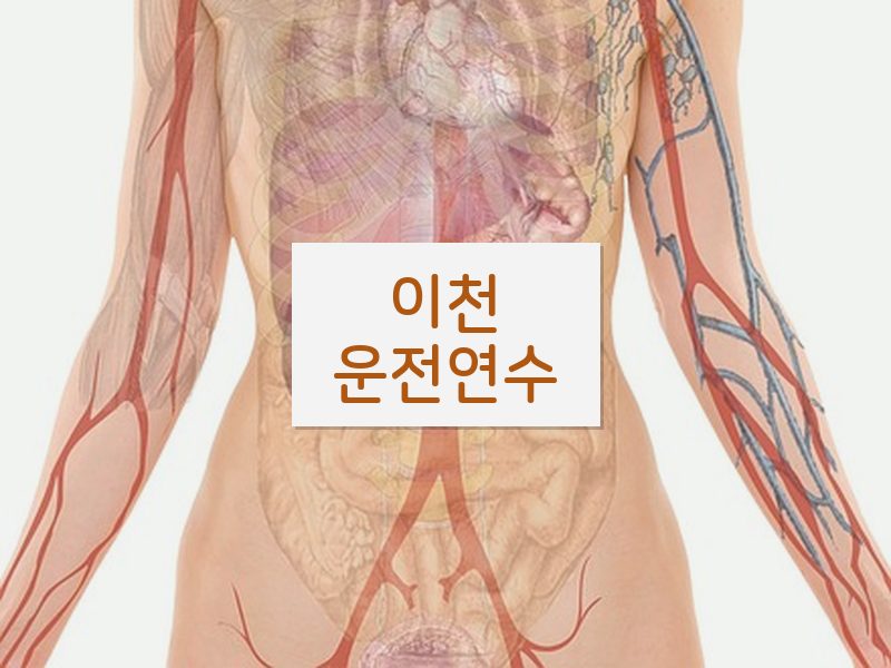 이천운전연수 후기