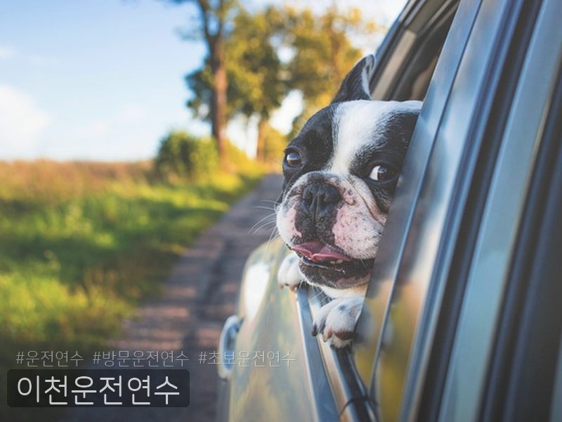 이천운전연수 후기