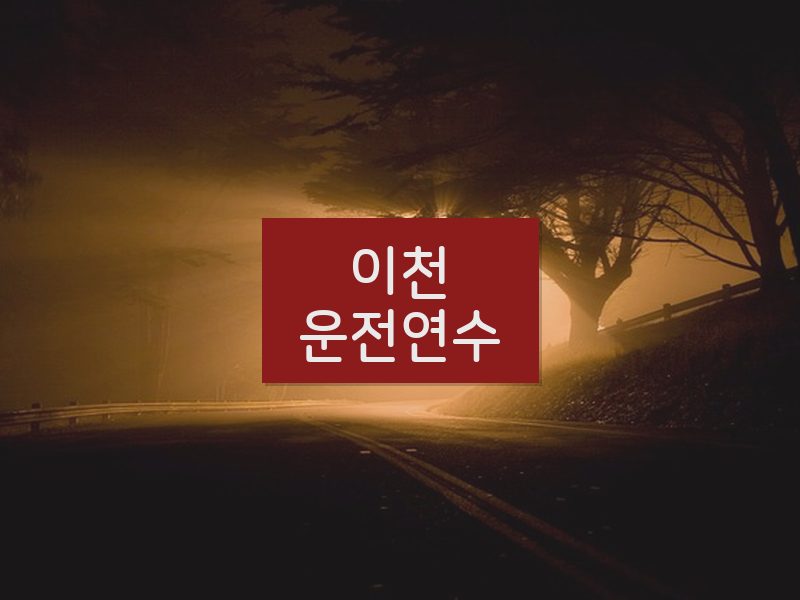 이천운전연수 후기