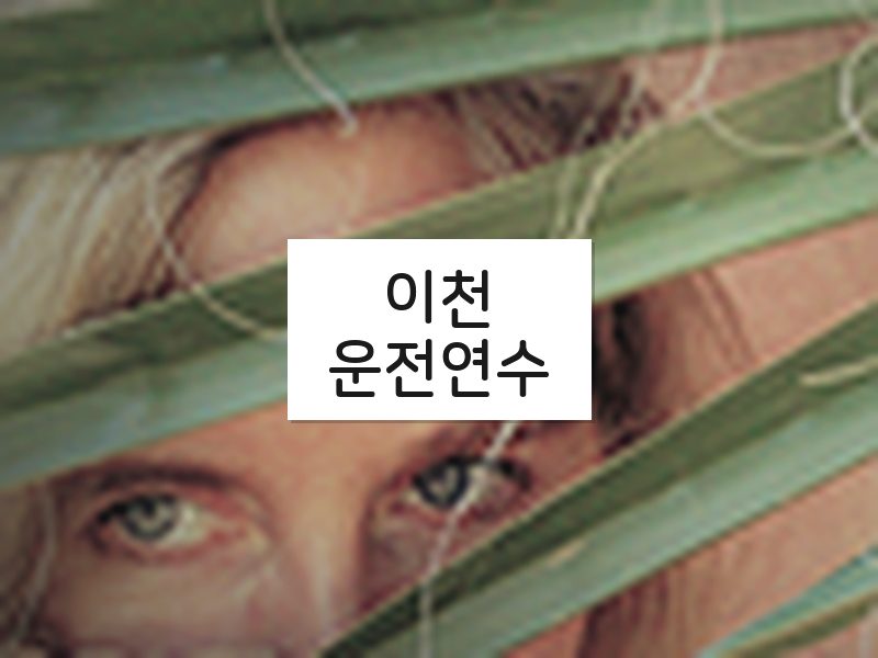 이천운전연수 후기