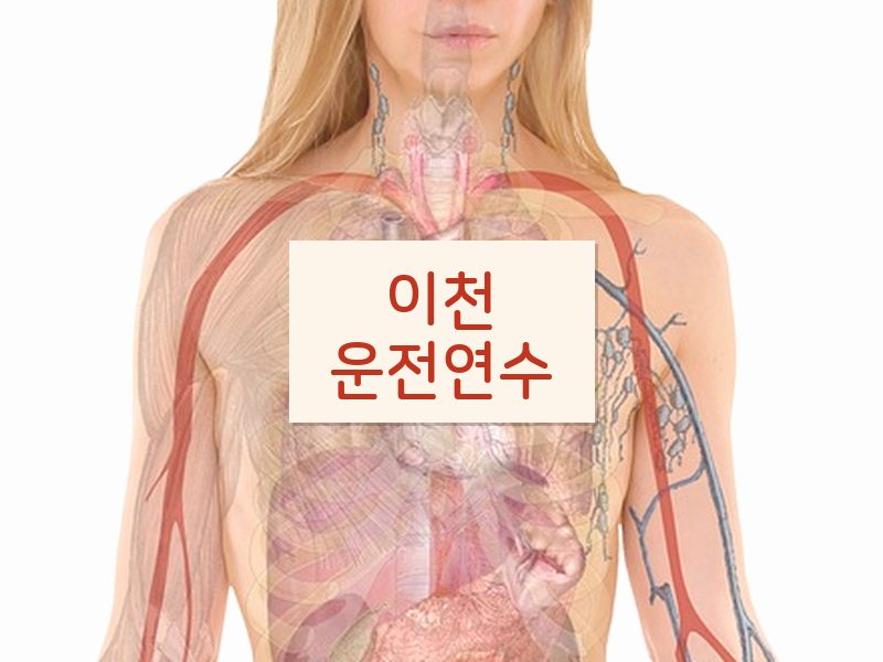 이천운전연수 후기