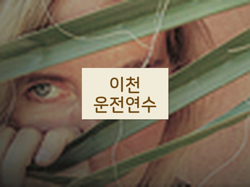 이천운전연수 후기