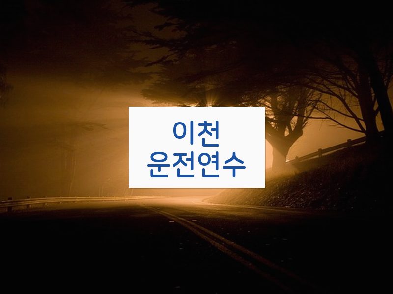 이천운전연수 후기