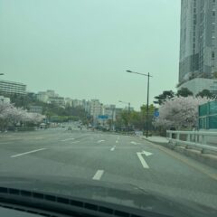 이천에서 자차 운전 연습 완료했어요