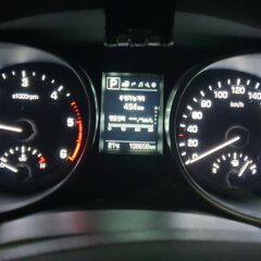 이동의 자유를 얻었어요