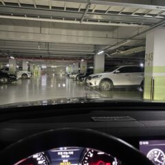 할머니 댁을 혼자 방문