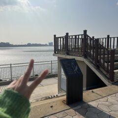 차선 변경에 스트레스