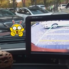 어둠 속 운전 고개 숙이기